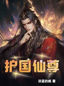 护国神帅无弹窗全文阅读七八