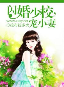 闪婚少校小小妻