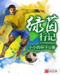 绿茵回忆录