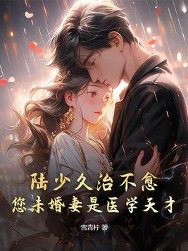 陆少的的女主角叫什么名