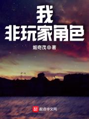 非玩家角色作者介绍