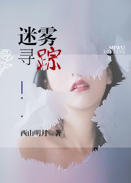 迷雾寻踪是什么意思啊