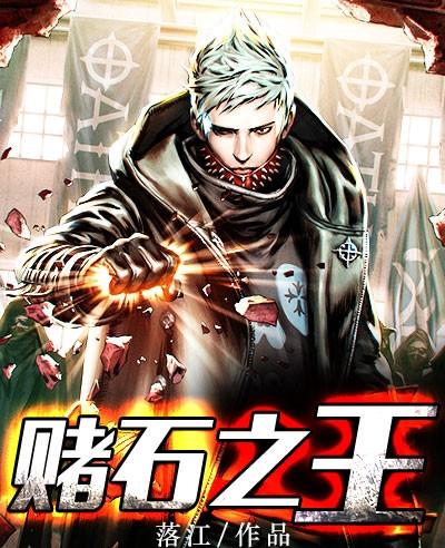 赌石之王姜少阳作者杨梅大叔全文