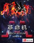 机战狂潮游戏