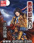 西游的意思