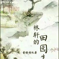 林轩主人公