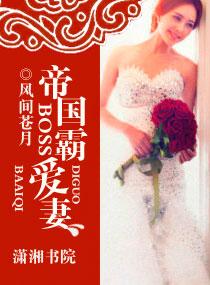 帝国总裁霸道宠妻免费