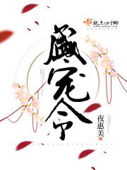 盛宠令免费阅读夜惠美
