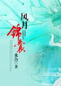 风月锦囊电视剧剧情介绍