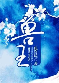 兽王争锋神匠之怒