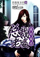 我的霸道总裁老婆林
