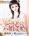 总裁老公离婚