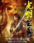 光明至尊2025版怎样