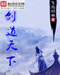 剑道天下王侧