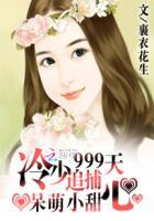 呆萌小甜心冷少追捕999天