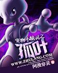 宠物小精灵之怜卡夜阁