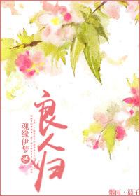 良人归歌词完整版