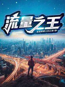 流量王什么意思