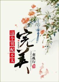 这个男配我罩