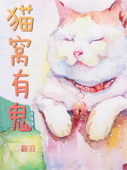 猫窝满了