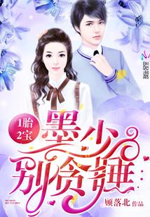 一胎二宝墨少别贪睡免费阅读全文