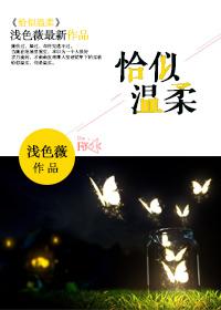 恰似温柔恰似你什么意思