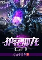 护花邪少 九十五