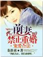 宠溺前妻总裁老公太霸道