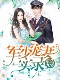 重生九零之军少宠妻实录