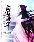 庶女风华霍无痕