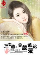 总裁恋爱了