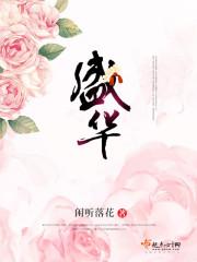 盛华化工有限公司简介