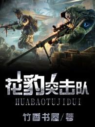 播放花豹突击队