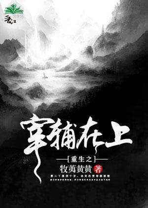 重生之宰傅之上