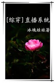 综穿 系统