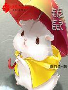 电视剧银鼠