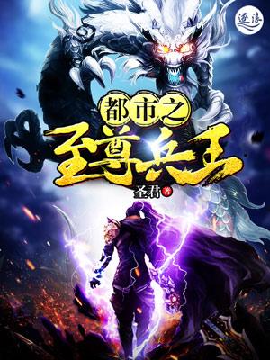 都市之至尊兵王凌天免费