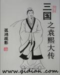 三国之袁熙大传免费阅读