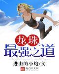 龙珠最强之道日语翻译