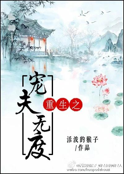 重生之宠夫君