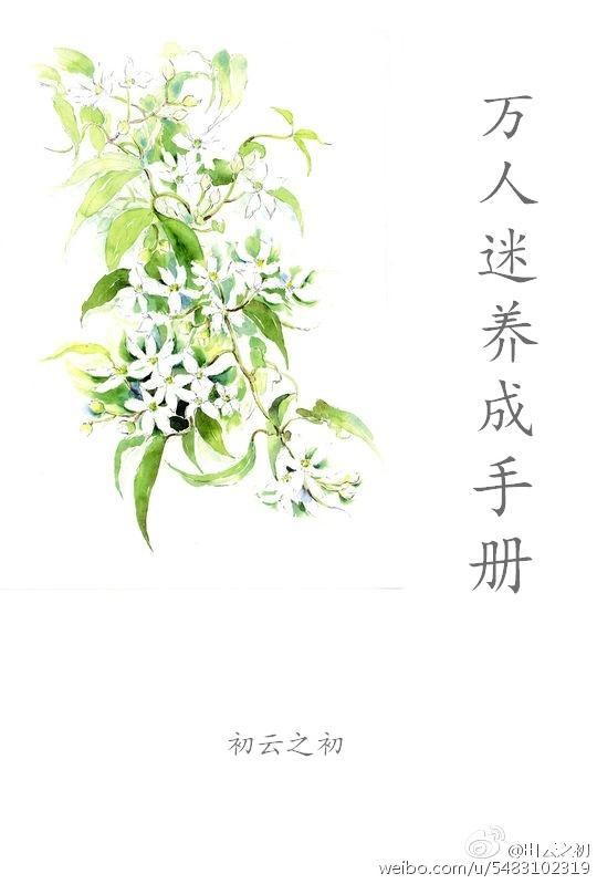 万人迷成长手册全文免费阅读