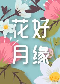 花好月圆酒52度多少钱一瓶?