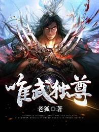 唯武独尊游戏攻略