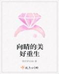 向晴重生的美好生活