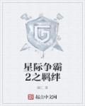 星际争霸2 2v2