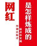 那些网红是怎么成长的