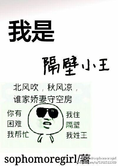 隔壁小王是我的作品