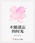 无法遗忘的时光
