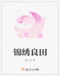 锦绣良田价格表大全