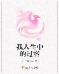 关于人生中的过客的句子